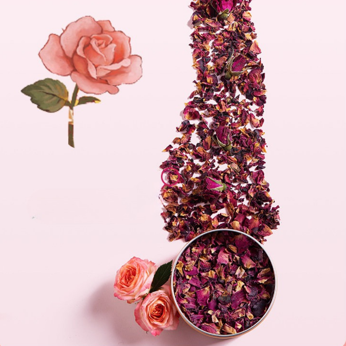 Rose Paris Herbal Tea — rose-petal ingredient detail